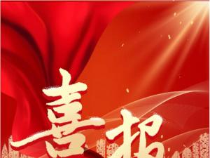 喜報！精大儀表被認定為 合肥市大數據企業